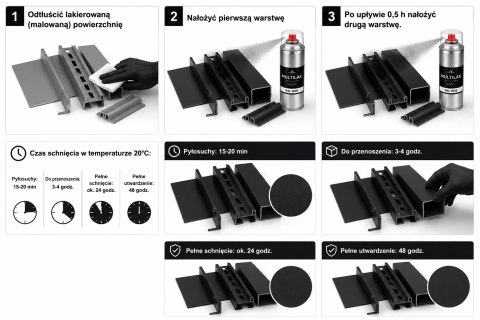 SPRAY LAKIER FARBA DO ALUMINIUM RAL 6029 MAT